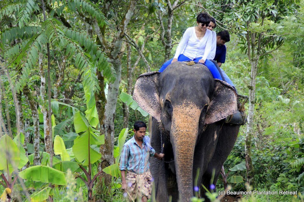 Beaumont Plantation Retreat Hotel Thekkady Kültér fotó